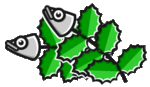 イワシの頭とヒイラギ　Sardine's head and hiiragi